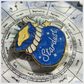 Stardust (Pin)
