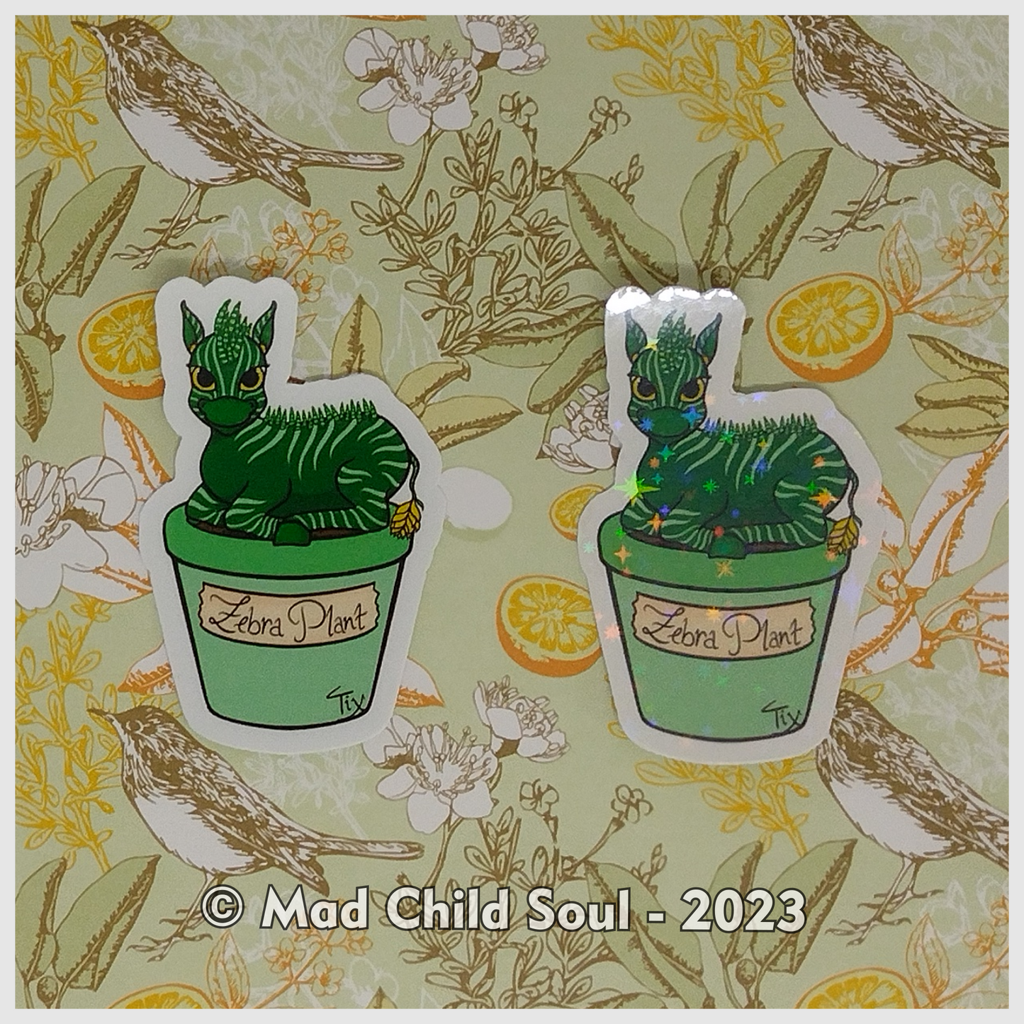 Zebra Plant - AnimaPlants (Sticker)